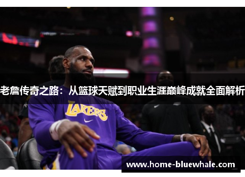老詹传奇之路：从篮球天赋到职业生涯巅峰成就全面解析