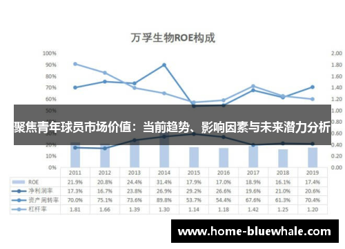 聚焦青年球员市场价值：当前趋势、影响因素与未来潜力分析