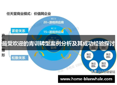 最受欢迎的青训转型案例分析及其成功经验探讨