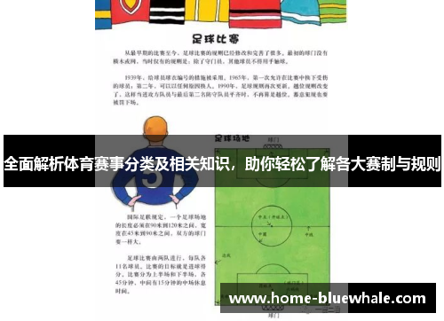 全面解析体育赛事分类及相关知识，助你轻松了解各大赛制与规则