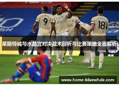 莱斯特城与水晶宫对决战术剖析与比赛策略全面解析