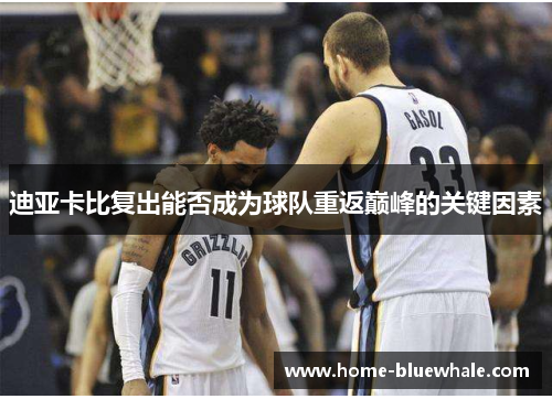 迪亚卡比复出能否成为球队重返巅峰的关键因素