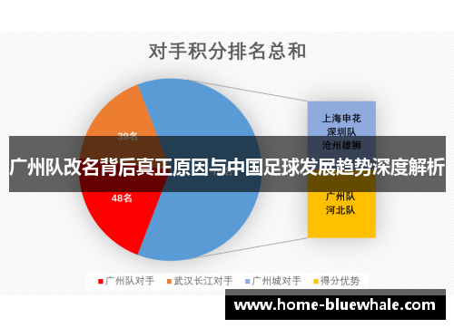 广州队改名背后真正原因与中国足球发展趋势深度解析
